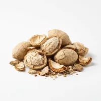 African mango seeds