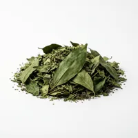Gymnema leaves